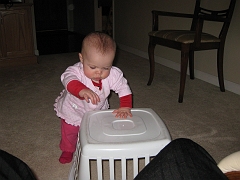 IMG_2168_0001