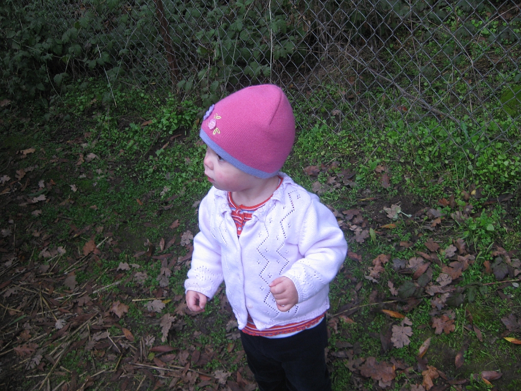 IMG_3744.JPG