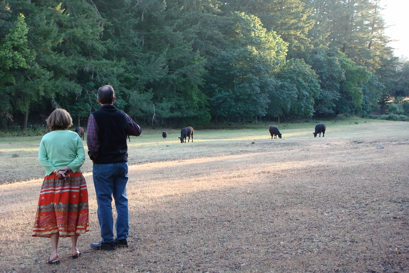 4.JPG - Lilian and Dave with the cows.