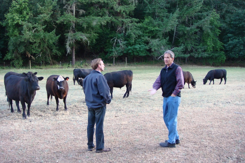 9.JPG - Dave looks to Lilian to help him educate Steve on animal husbandry.