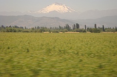DSC01598
