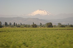 DSC01599
