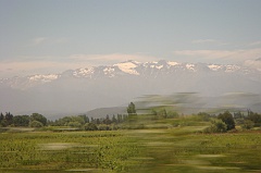 DSC01600
