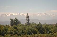 DSC01607