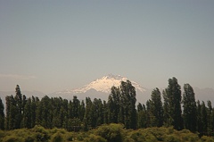 DSC01610