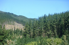 DSC01616
