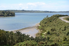 DSC01699