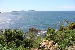 DSC01706