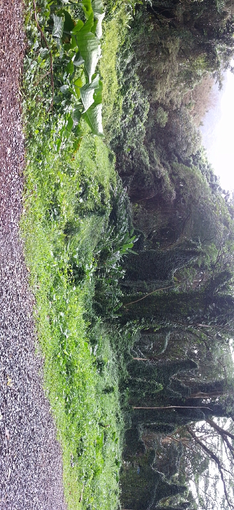 20121216_111603.jpg