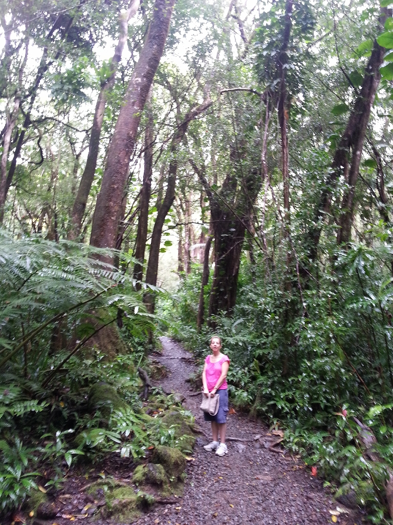 20121216_112449.jpg