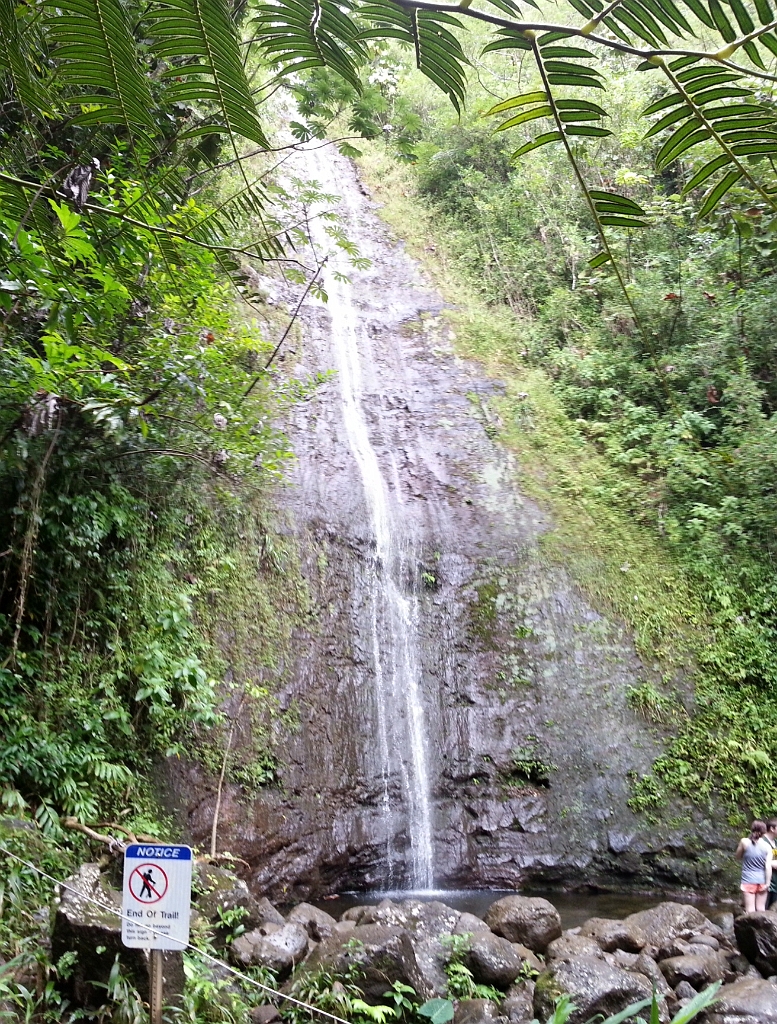 20121216_115947.jpg