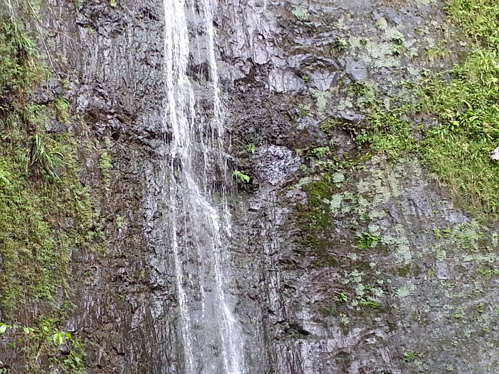 20121216_120227.jpg