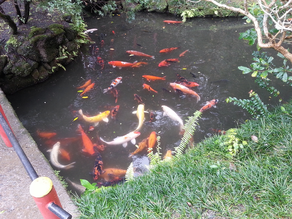 20121219_112619.jpg