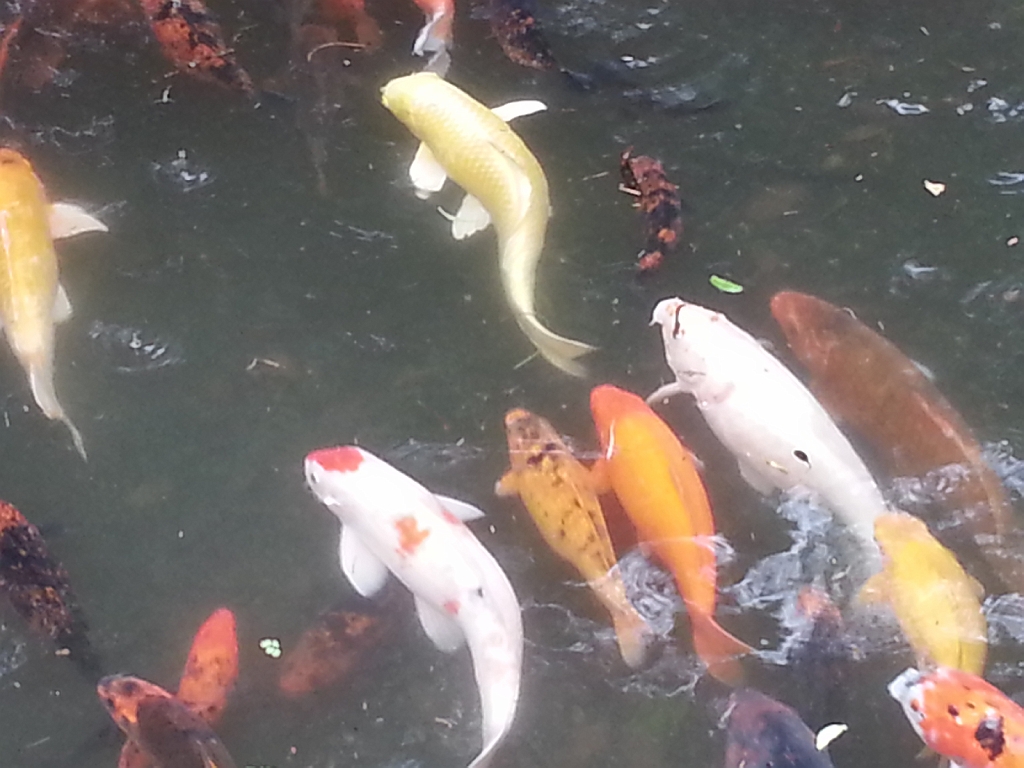 20121219_112623.jpg
