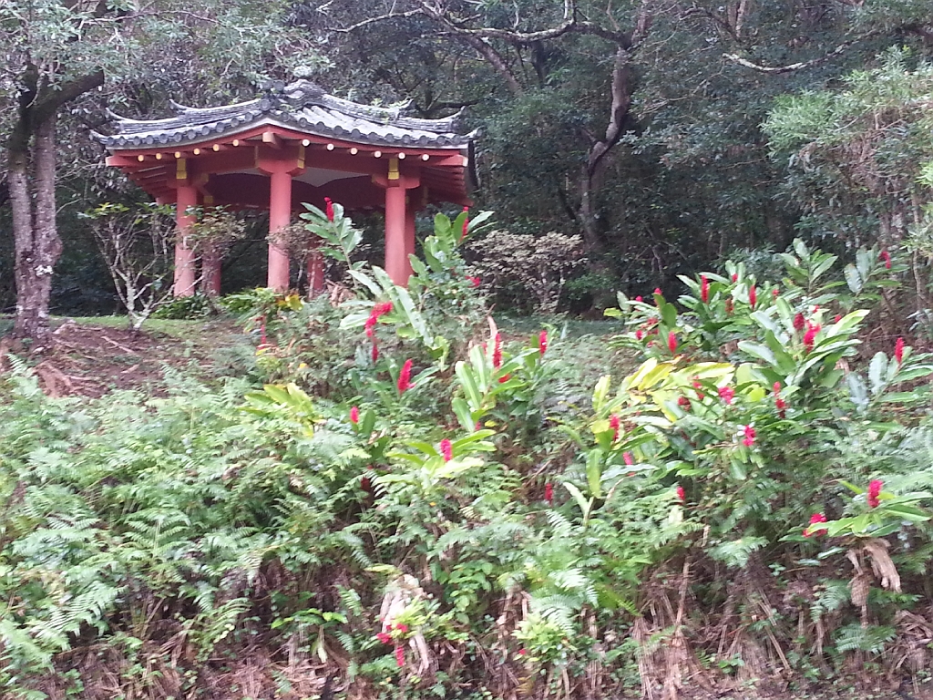 20121219_112650.jpg