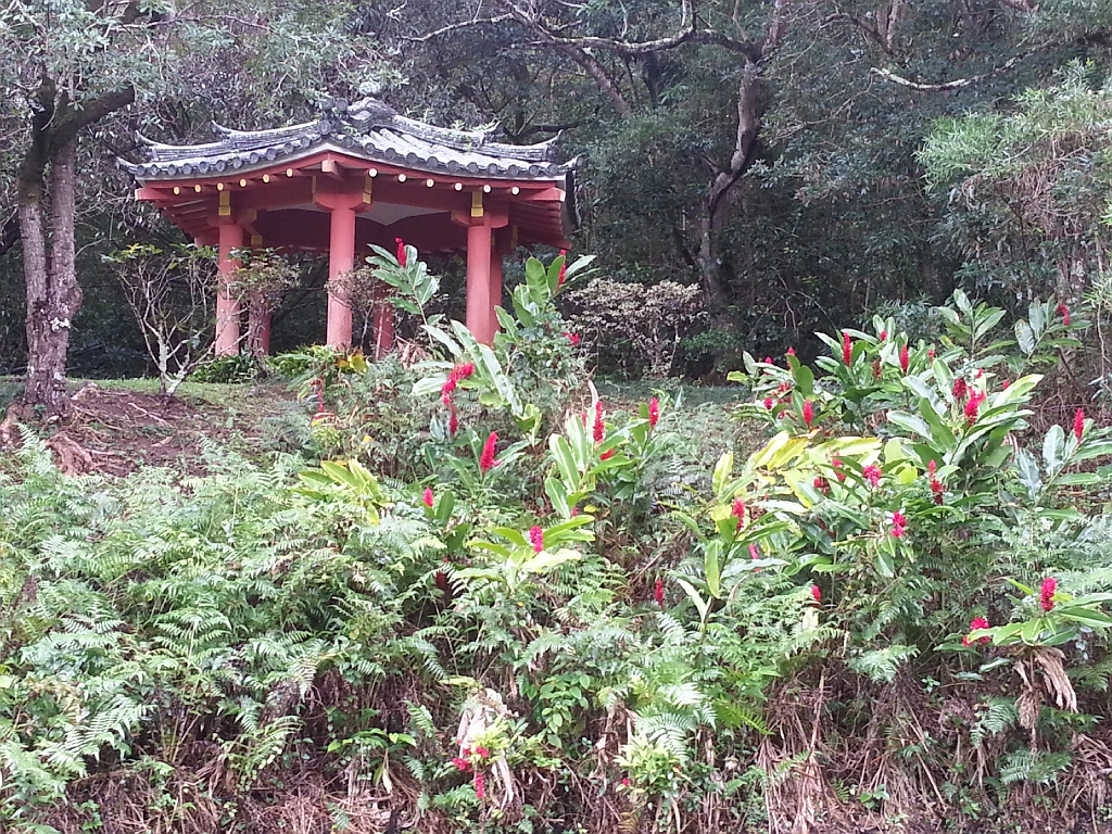 20121219_112651.jpg