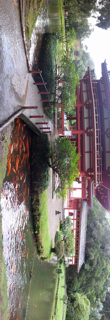 20121219_113553.jpg