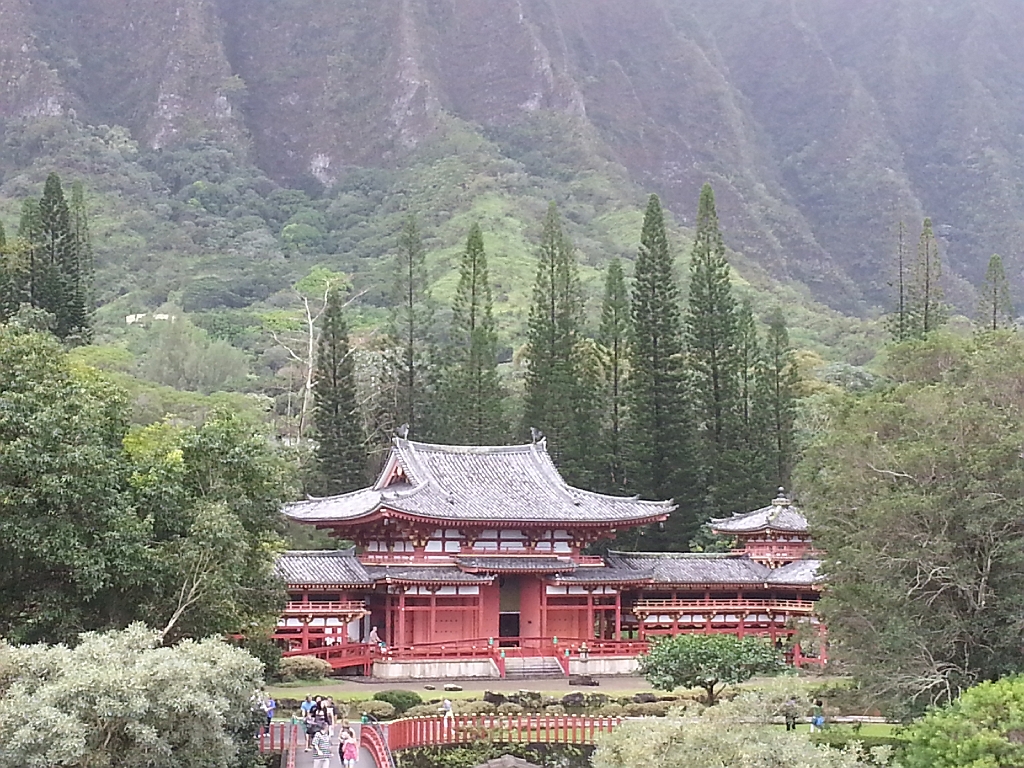 20121219_115854.jpg