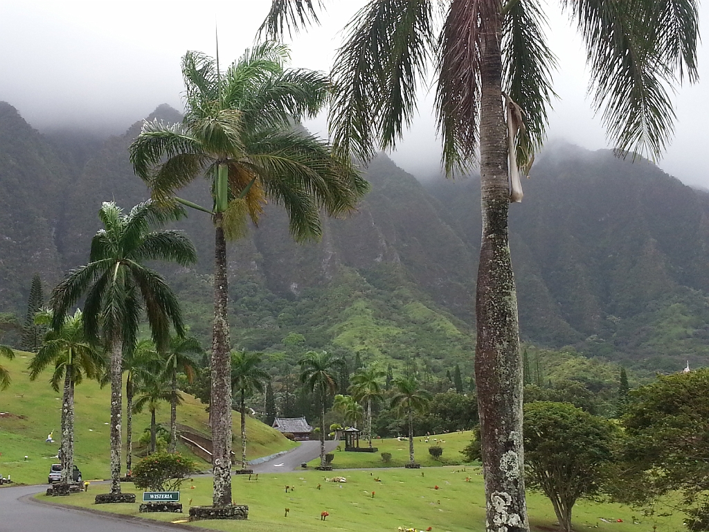 20121219_120242.jpg