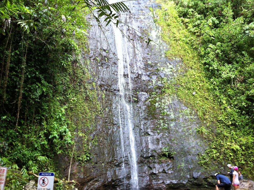 IMG_1178.jpg