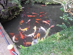 20121219_112619