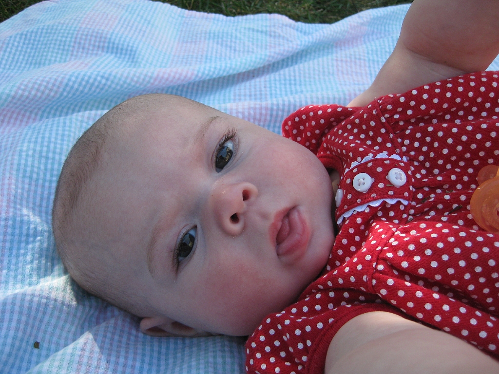 IMG_1892_0031.jpg
