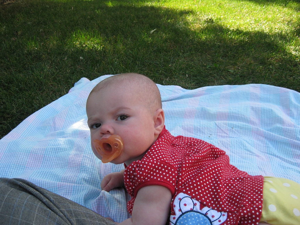 IMG_1894_0029.jpg