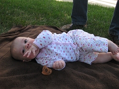 IMG_1864_0059