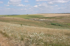DSC01403