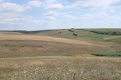 DSC01404