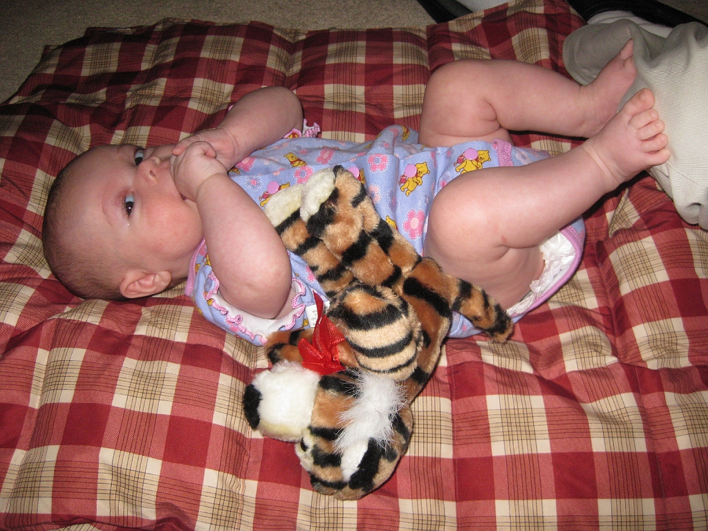 IMG_1747_0174.jpg
